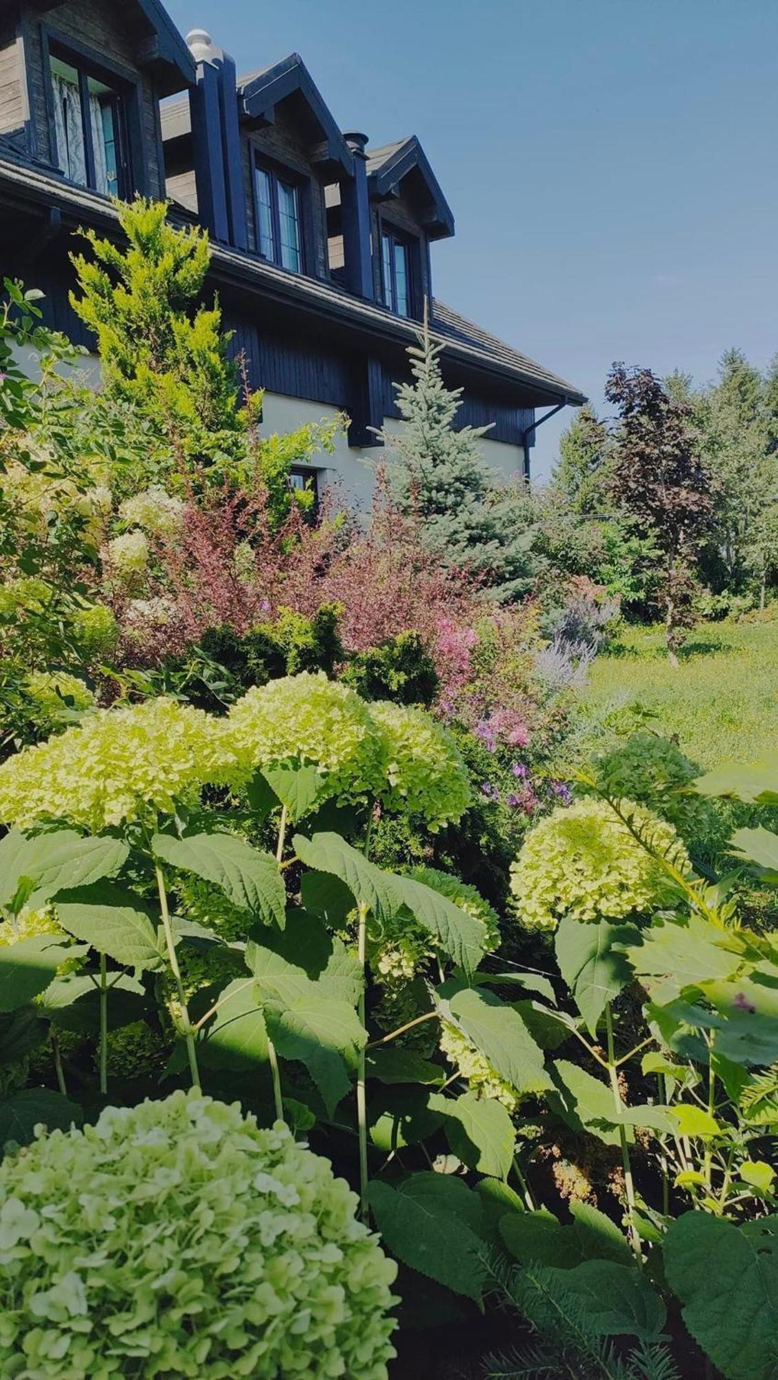 Osrodek Bialy Lew Bed & Breakfast Wojciechow  Eksteriør bilde