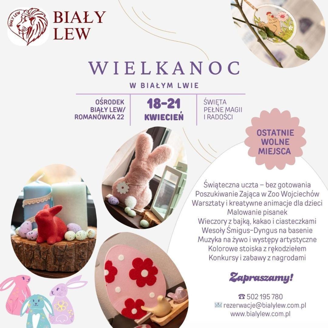 Osrodek Bialy Lew Bed & Breakfast Wojciechow  Eksteriør bilde