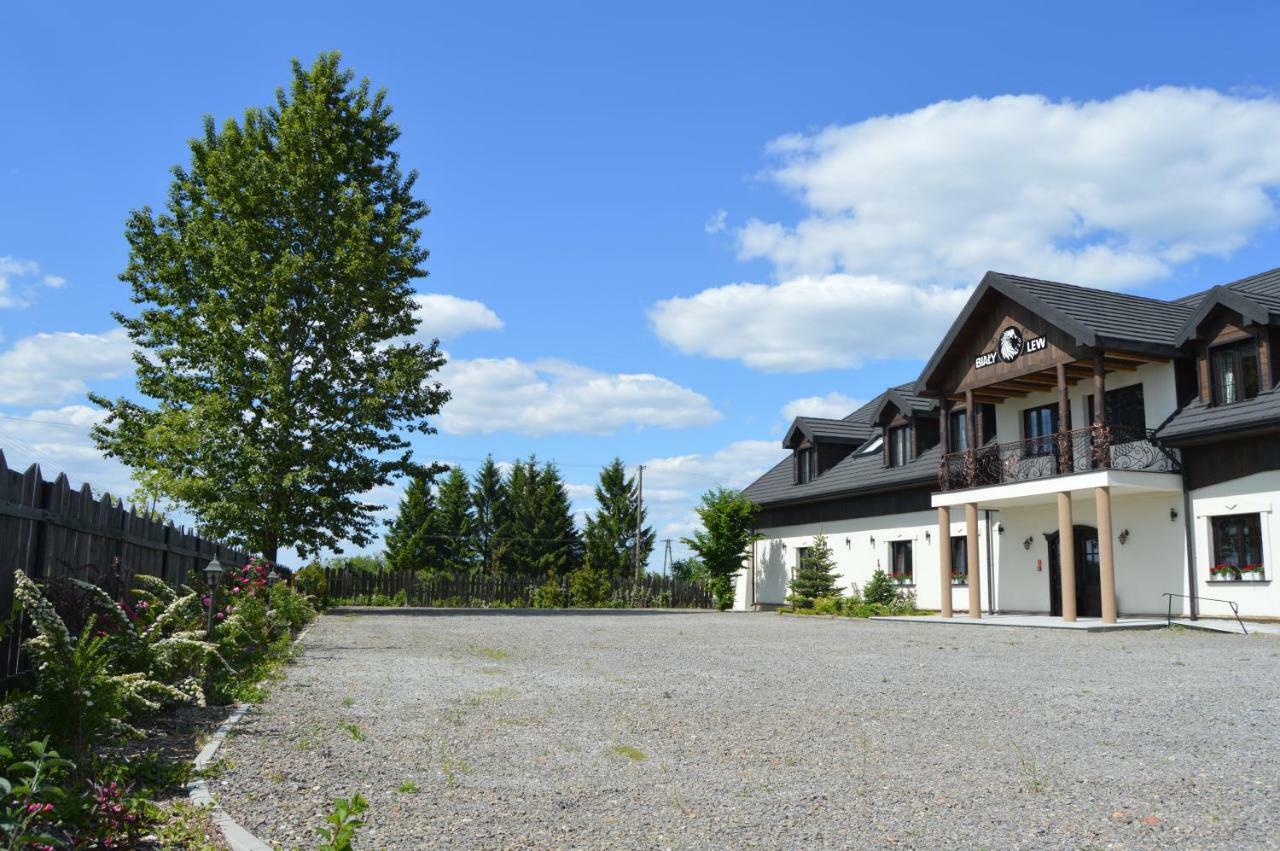 Osrodek Bialy Lew Bed & Breakfast Wojciechow  Eksteriør bilde